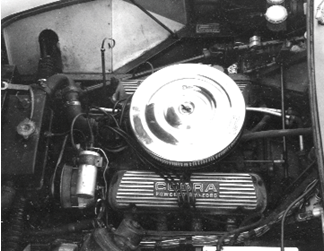 Cobra Logo